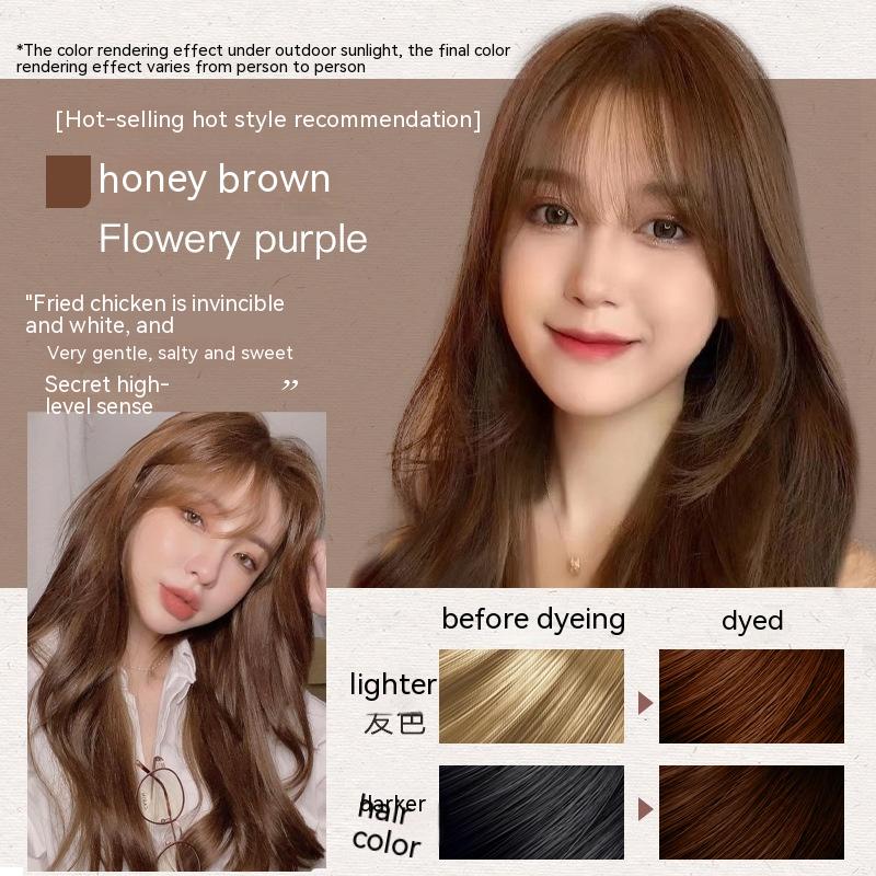 Ammonia-free Hair Color Paste Monochrome Paste Cover White Hair Multi-segment Color One-step Black Tea Gray Blue Black Hair Dye