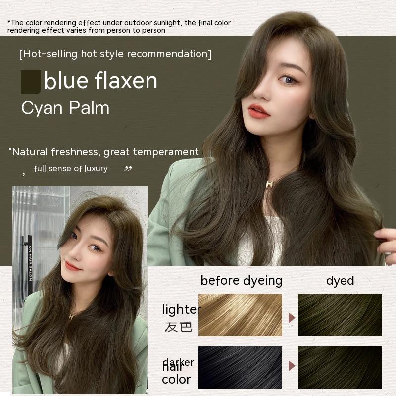 Ammonia-free Hair Color Paste Monochrome Paste Cover White Hair Multi-segment Color One-step Black Tea Gray Blue Black Hair Dye