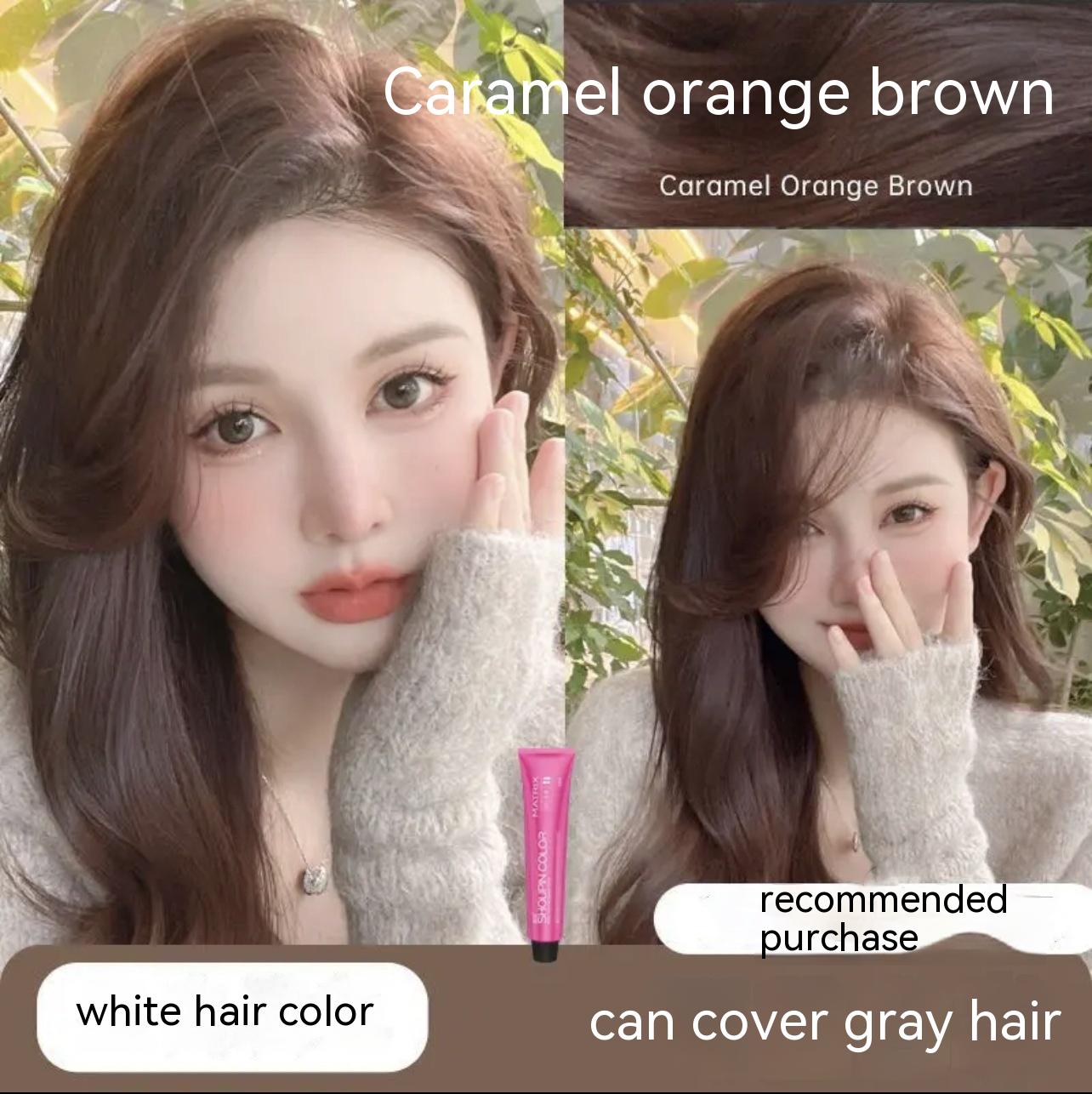 Ammonia-free Hair Color Paste Monochrome Paste Cover White Hair Multi-segment Color One-step Black Tea Gray Blue Black Hair Dye