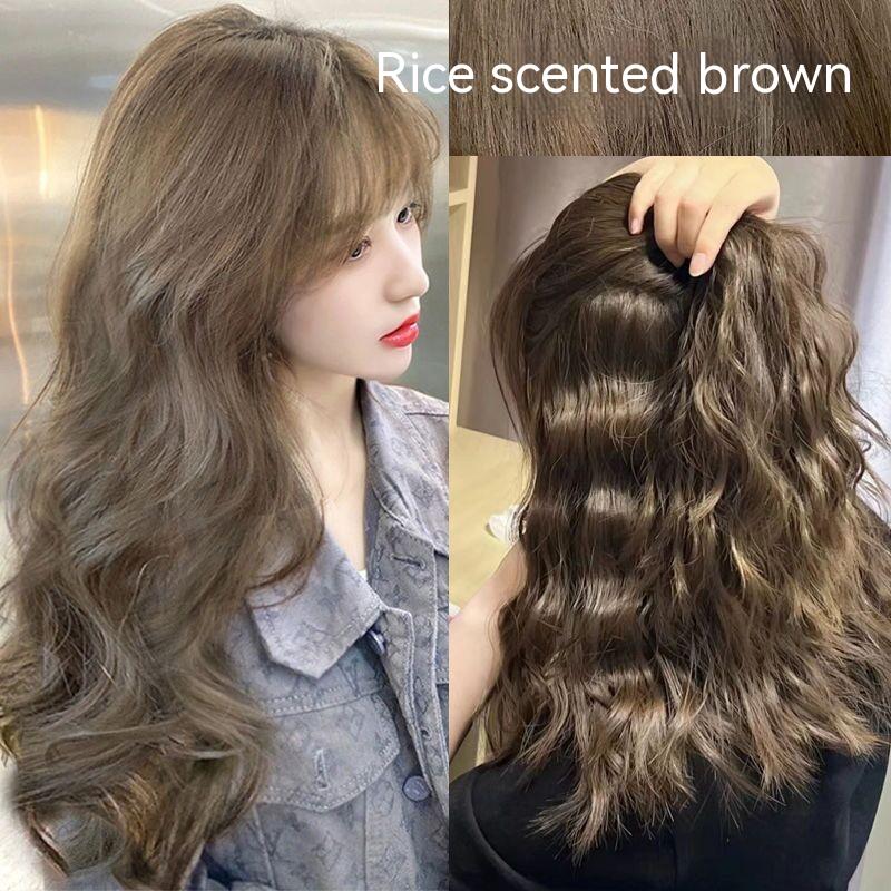 Ammonia-free Hair Color Paste Monochrome Paste Cover White Hair Multi-segment Color One-step Black Tea Gray Blue Black Hair Dye