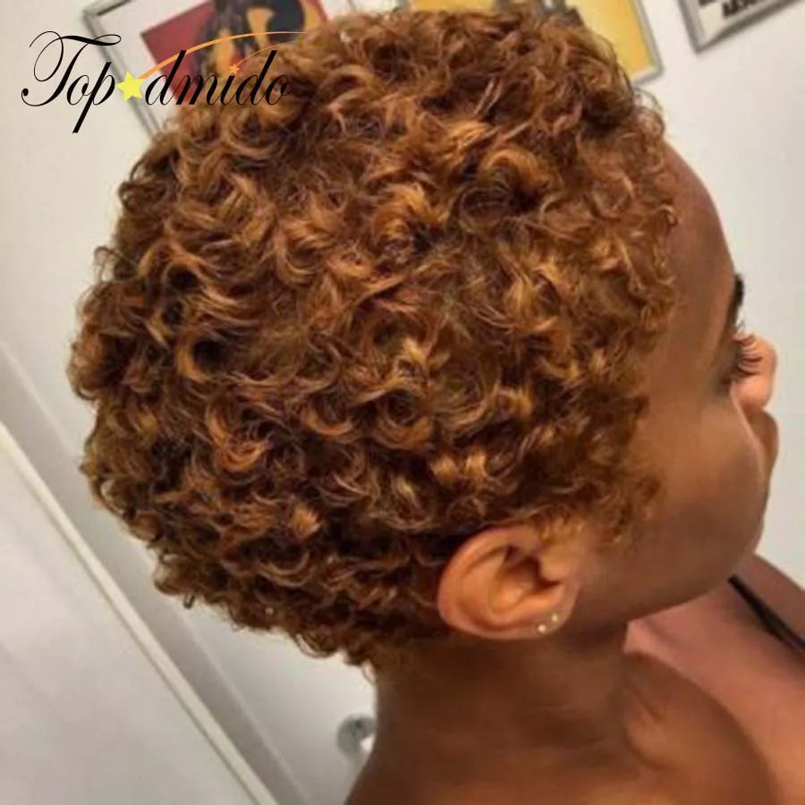 Topodmido Brown Color Short Curly Hair Wigs for Woman Short Brazilian Hair Lace Wig with Curly Baby Hair 13x4x4 Lace Wig Glueles